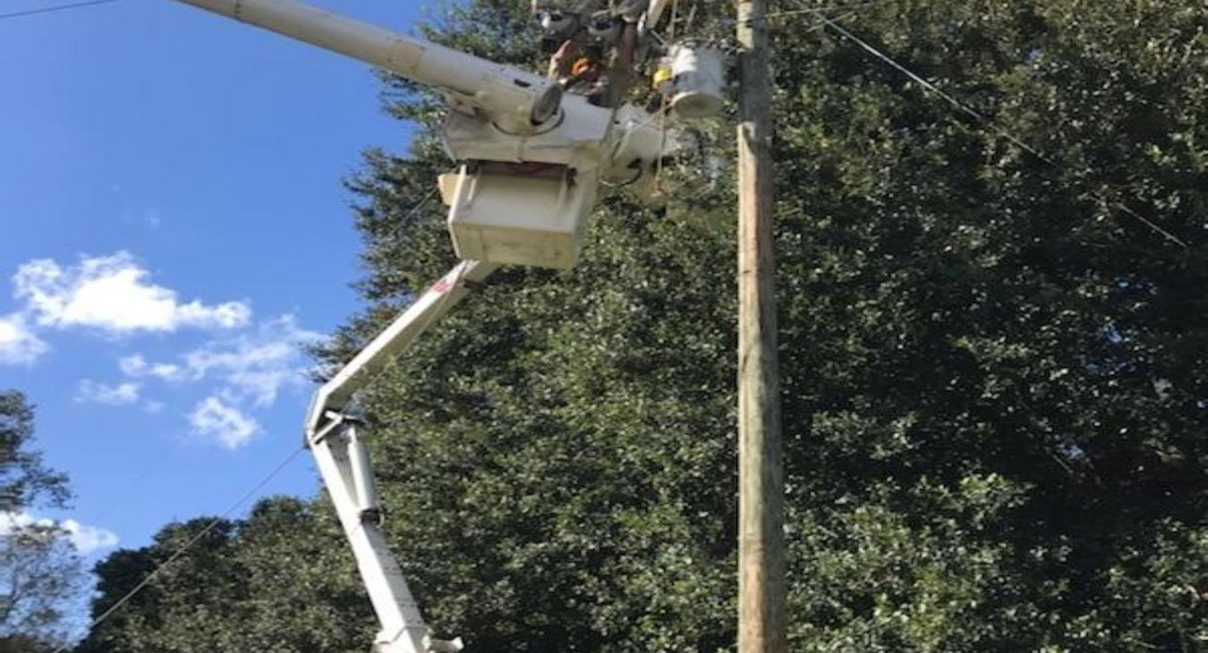 Worker Repairing Power Line